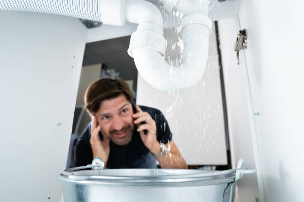 Best Plumbing Inspection Services  in Clinton, IL